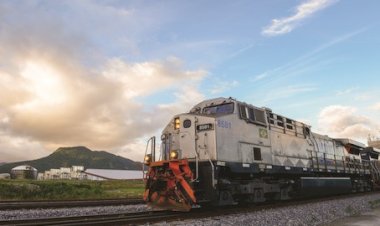 VLI estreia transporte ferroviário de sorgo para exportação