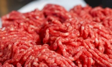 Brasil busca diversificar mercados para carne bovina