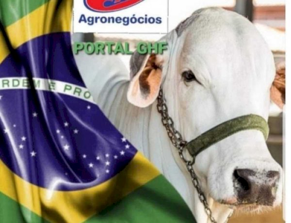 PORTAL GHF