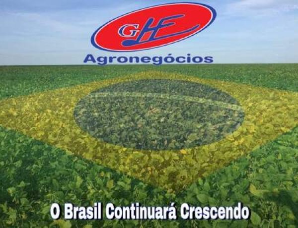 Atenção Produtor! Sojicultores de Mato Grosso têm até 15 de fevereiro para cadastrar área no Indea