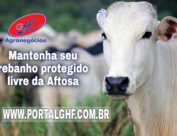 Prazo para vacina contra raiva termina em 24 de março