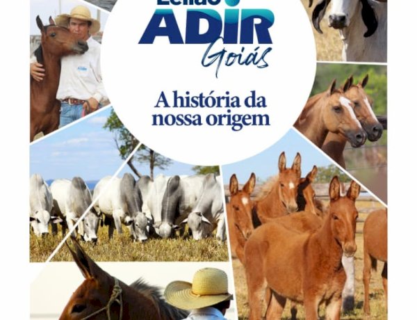 Leilão Adir Goiás