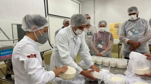 Mercado lácteo de Goiás registra movimentação positiva em março