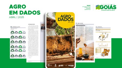 Goiás avança na produção de mel com investimentos em apicultura