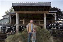 GO: leite ganha força com agricultura familiar, tecnologia e planejamento