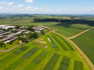 Embrapa Soja promove em maio workshop para celebrar seus 50 anos