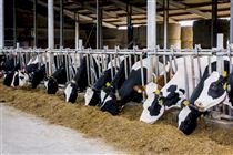 SP: governo anuncia investimentos de R$ 600 milhões para o setor rural