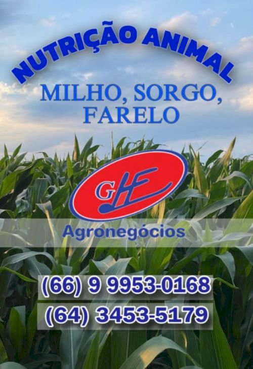 Portal GHF com as melhores informações sobre Cotações Agropecuárias