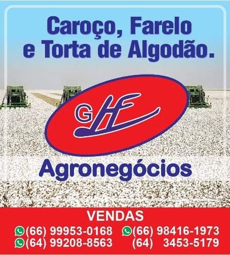 Portal GHF com as melhores informações sobre Cotações Agropecuárias