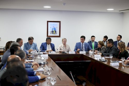 Helder Barbalho cobra do Planalto soluções para embargos que paralisam produção rural no Pará
