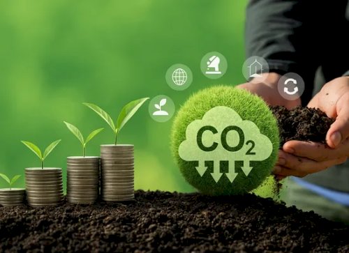 Câmara aprova uso de créditos de carbono para abater impostos no agro