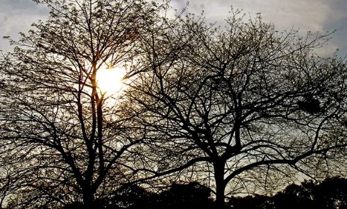 Semana começa com forte contraste climático pelo Brasil