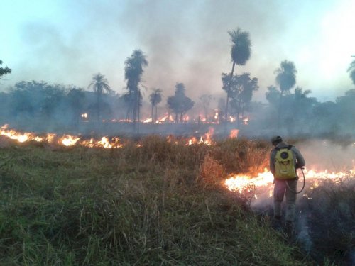 Aprosoja MT reforça ações preventivas contra incêndios e combate estigmatização do produtor rural