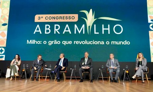 Avanço do sorgo marca tendência no agro e projeta novo ciclo para etanol e ração