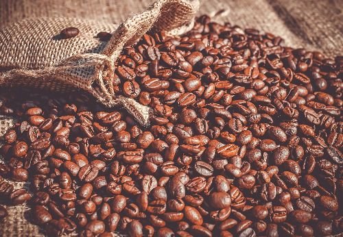 Consumo de café despenca no mercado interno, enquanto exportações disparam