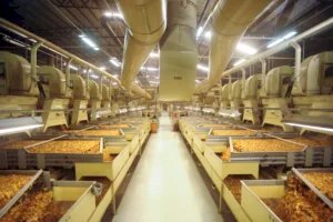SindiTabaco destaca integração entre o campo e a indústria do setor