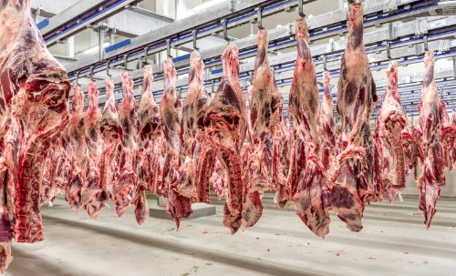 Aumento de 9% nos embarques de carne de frango do 1º quadrimestre foi puxado pelos cortes
