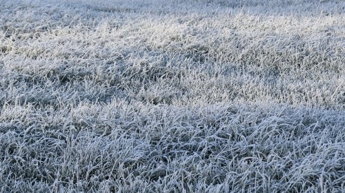 Brasil em alerta: frente fria traz temporais, rajadas intensas e mudança no tempo
