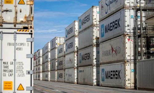 Brasil deixou de exportar até 100 mil toneladas de frango por gripe aviária, diz Mapa