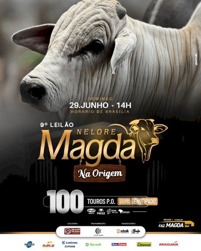 9º LEILÃO NELORE MAGDA - NA ORIGEM