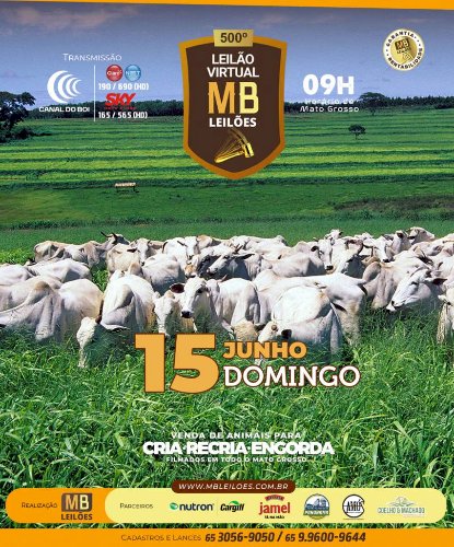500° LEILÃO VIRTUAL MB LEILÕES