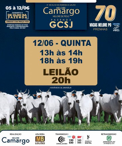 5° DE OLHO NA FAZENDA NELORE CAMARGO