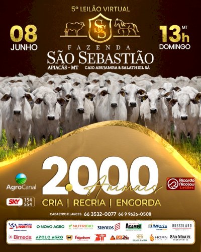 LEILÃO VIRTUAL FAZENDA SÃO SEBASTIÃO