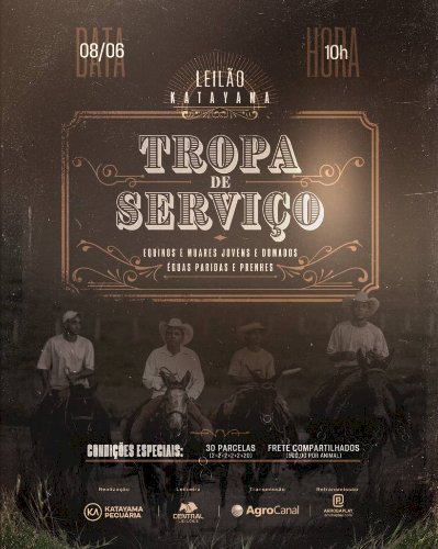 LEILÃO KATAYAMA - TROPA DE SERVIÇO