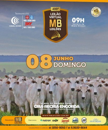 499° LEILÃO VIRTUAL MB LEILÕES