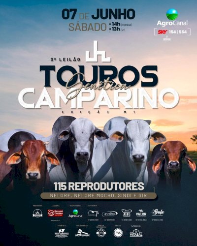3º LEILÃO VIRTUAL TOUROS GENÉTICA CAMPARINO - EDIÇÃO MT
