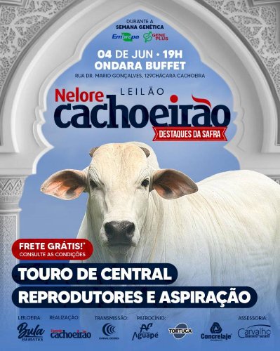 LEILÃO NELORE CACHOEIRÃO