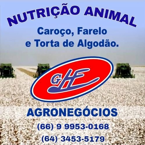 O agro brasileiro está envelhecendo?