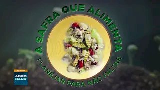 Série a safra que alimenta: O imposto dos juros na produção
