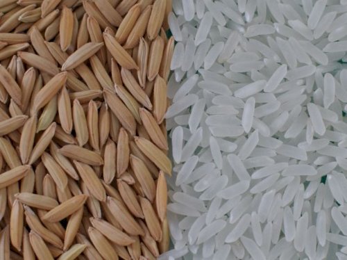 O arroz está sob risco