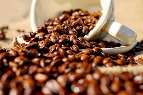 Governo destina R$ 7,18 bilhões do Funcafé para safra 2025/2026