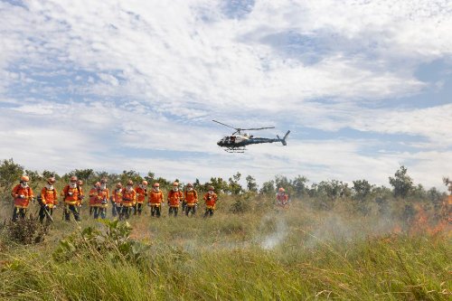 ForestFire 2025 reúne especialistas de 10 países e promove feira gratuita de tecnologias em Cuiabá