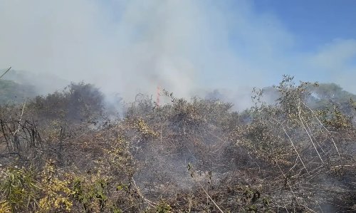 Fumaça no campo agora custa caro: decisão inédita da Justiça reconhece dano climático autônomo