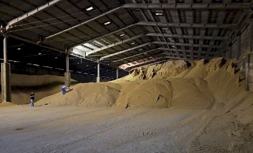 PF deflagra operações contra fraudes em cargas de grãos no Paraná e em Mato Grosso