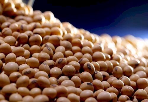 Armazenagem é o foco do mercado da soja