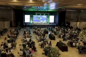 Colheita e cotação mundial do café serão destaques no CCAgro, em julho