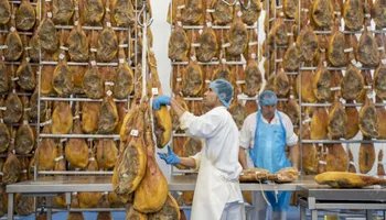 Grupo espanhol vai investir R$ 800 milhões em nova unidade agroindustrial em Santa Catarina