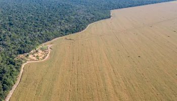 Tensão no campo: FAEP reforça que produtor não é obrigado a vender terras à Itaipu