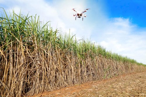Agro é responsável por 29 porcento da energia produzida no Brasil, aponta estudo da FGV