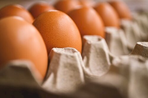 Ovos orgânicos são recolhidos aos milhões por surto de salmonela