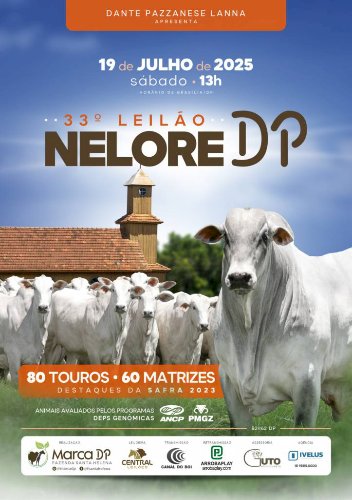 33º LEILÃO NELORE DP