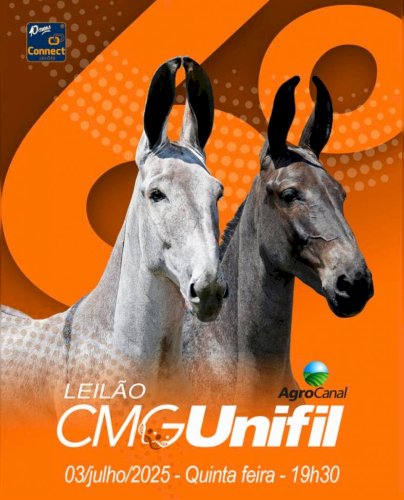 LEILÃO CMG UNIFIL