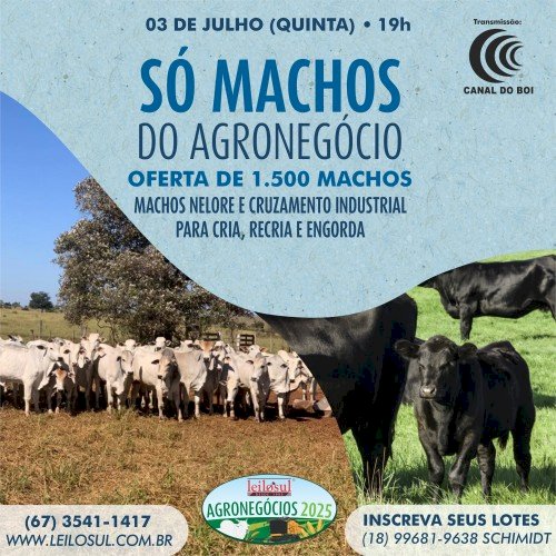LEILÃO SÓ MACHOS DO AGRONEGÓCIO