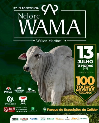 LEILÃO PRESENCIAL WAMA TOUROS