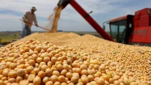 Expectativa com aumento do biodiesel impulsiona preço do óleo de soja