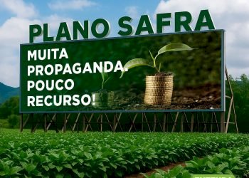 Por dentro dos números do Plano Safra 2025/26: a maior taxa de juros já paga pelo produtor rural